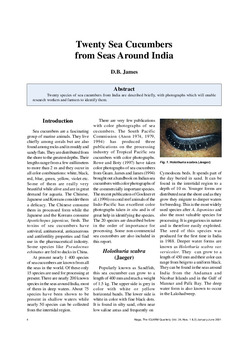 Twenty sea cucumbers from seas around India