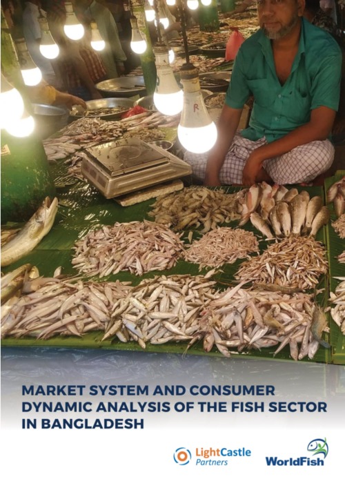 Market System and Consumer Dynamic Analysis of the Fish Sector in Bangladesh