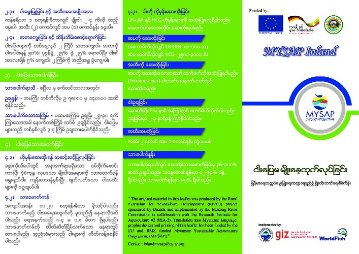 Breeding and seed production of climbing perch (Burmese version)