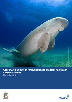 Conservation strategy for dugongs and seagrass habitats in Solomon Islands