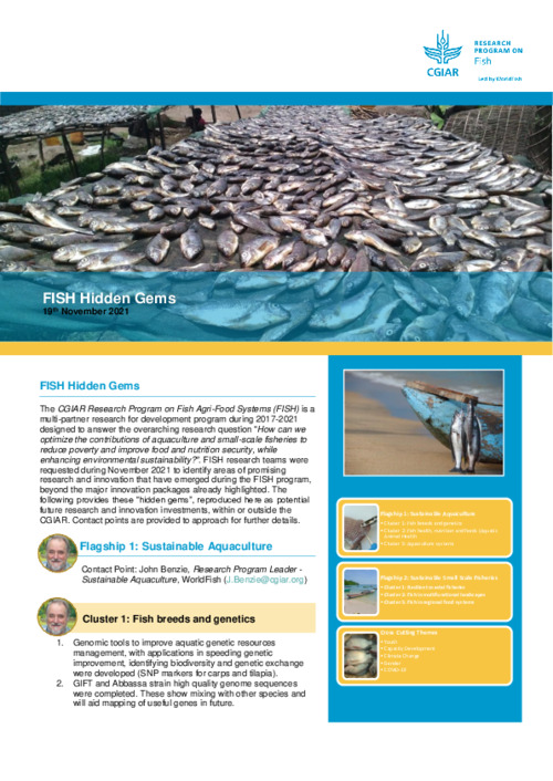 FISH Hidden Gems