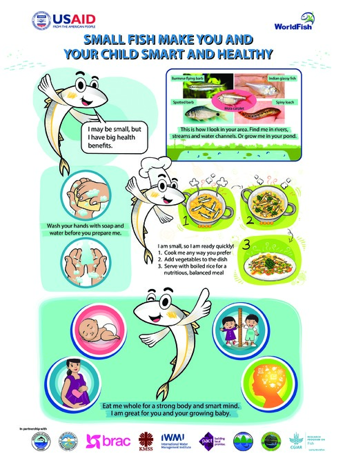 Fish for Livelihoods: Mola comic story
