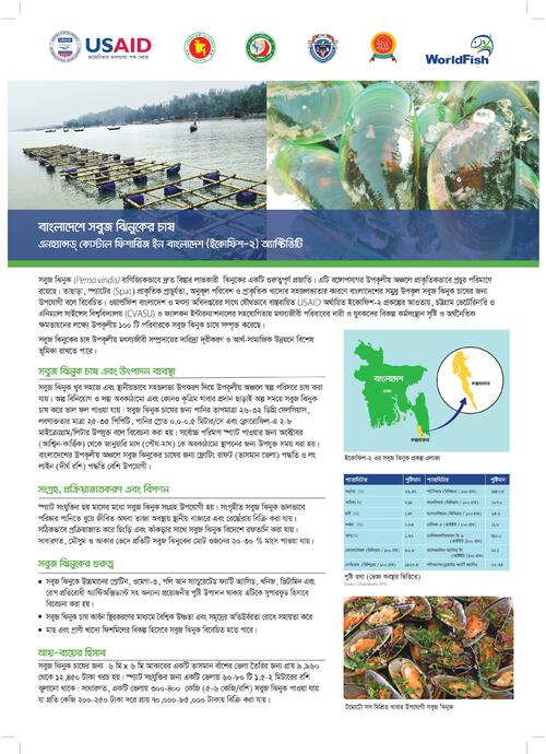 Green mussels