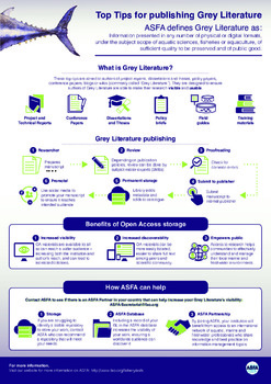 Top tips for publishing grey literature