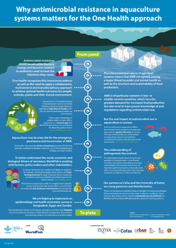 Why antimicrobial resistance in aquaculture systems matters for the One Health approach