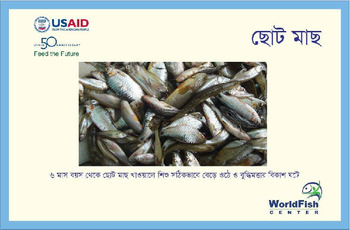 Recipe card [in Bengali]