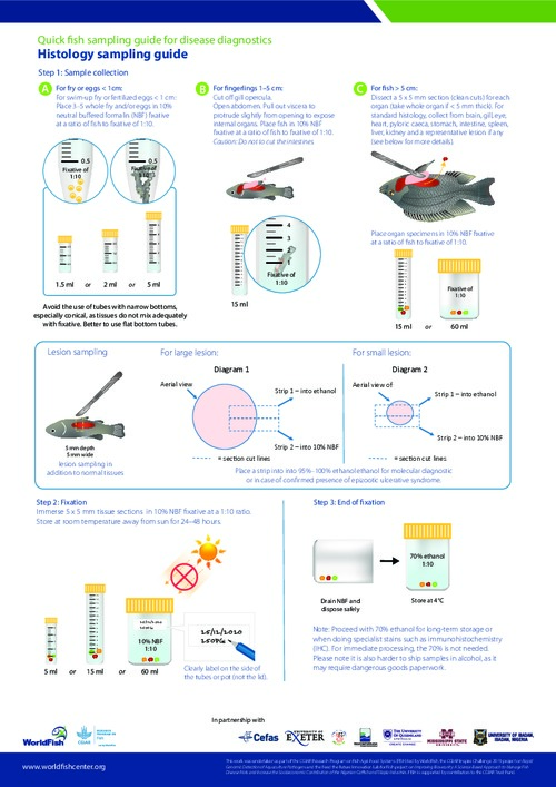 Quick fish sampling guide for disease diagnostics - Histology sampling guide