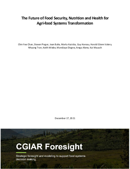 The Future of Food Security, Nutrition and Health for Agri-food Systems Transformation