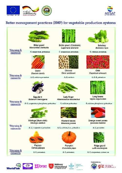 Better management practices (BMP) for vegetable production systems