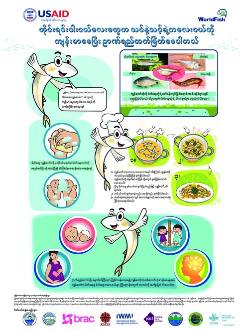 Fish for Livelihoods: Mola comic story (Burmese version)