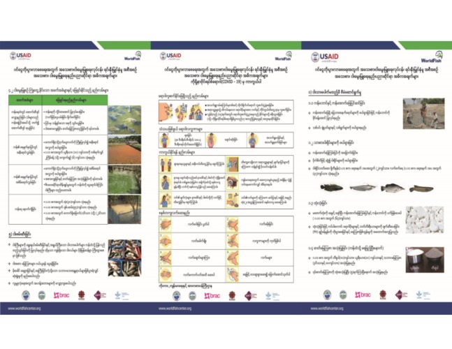 Small Scale Aquaculture (SSA) and COVID-19 (Burmese version)