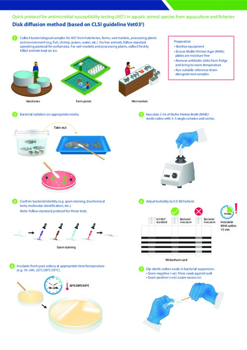 Quick protocol for antimicrobial susceptibility testing (AST) in aquatic animal species from aquaculture and fisheries