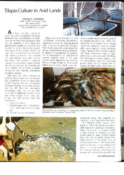 Tilapia culture in arid lands