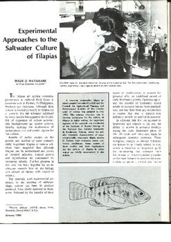 Experimental approaches to the saltwater culture of tilapias