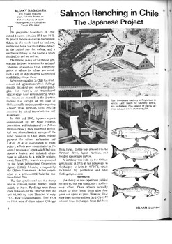 Salmon ranching in Chile: the Japanese project