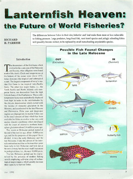 Lanternfish heaven: the future of world fisheries?