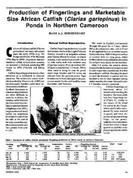 Production of fingerlings and marketable size African catfish (Clarias gariepinus) in ponds in northern Cameroon