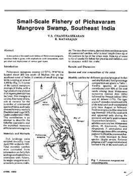Small-scale fishery of Pichavaram mangrove swamp, Southeast India