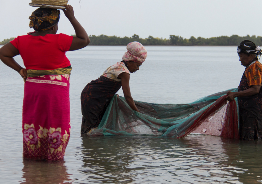 Working as a team; fisher women catching small fish and shrimp in Bagamoyo, Tanzania.