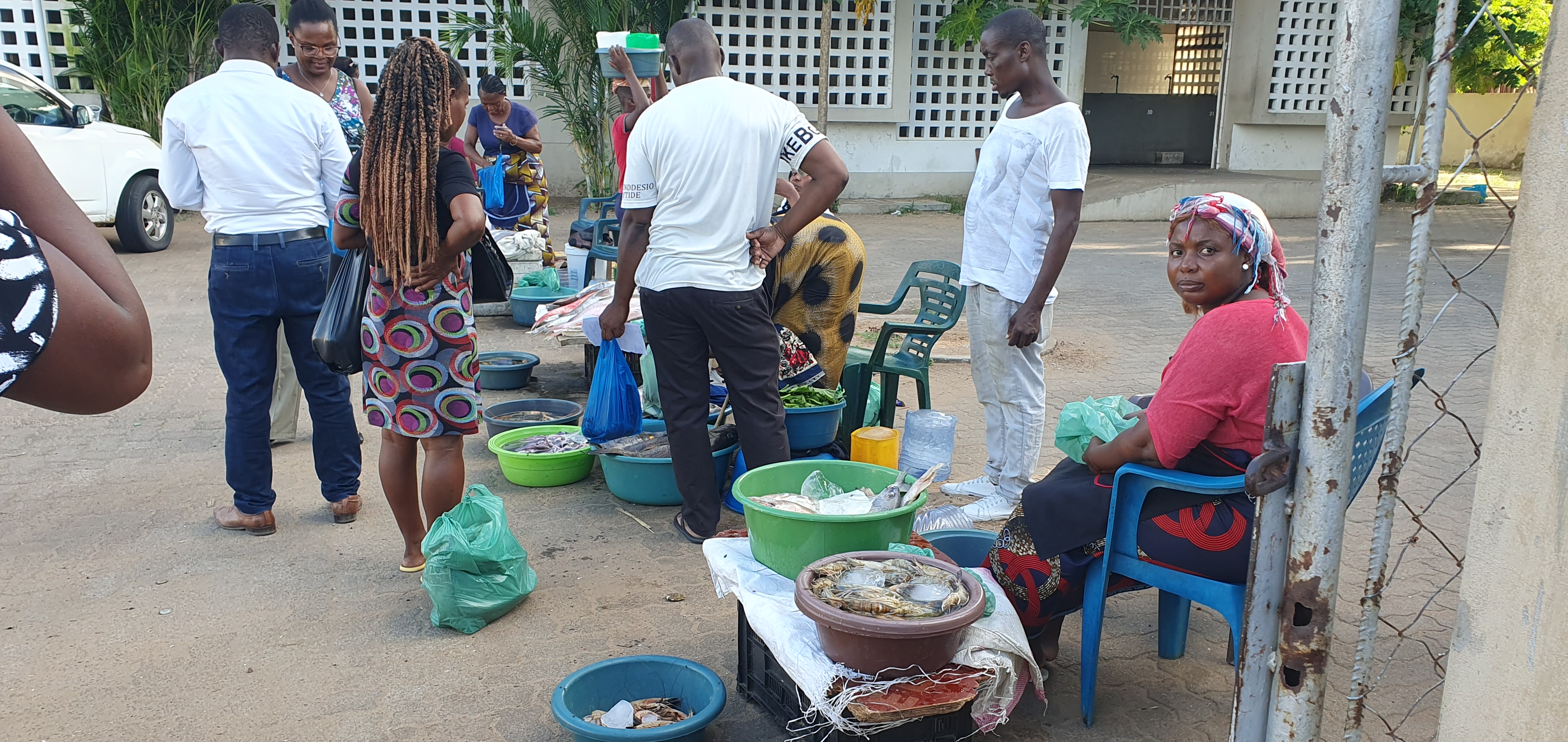 Women selling fish outside the market hall in Marracuene, a region in Maputo, which the AABS team visited. Constructed by INFRAPESCA, the market is approximately 9 km from the landing site and is equipped with large freezers and a 1,000 kg/day ice machine, none of which appear to be operational. The women at the market source their ice elsewhere, likely from private producers. Photo: Christoph Muller. 