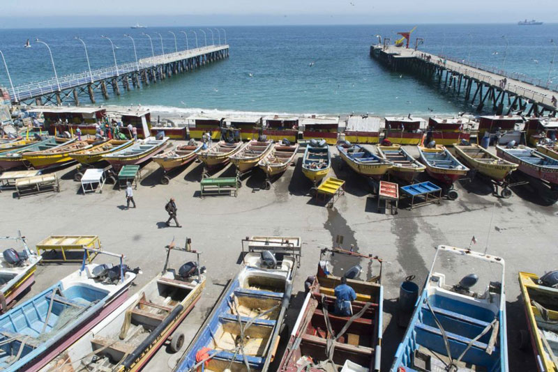 Artisanal fishing vessels in Chile