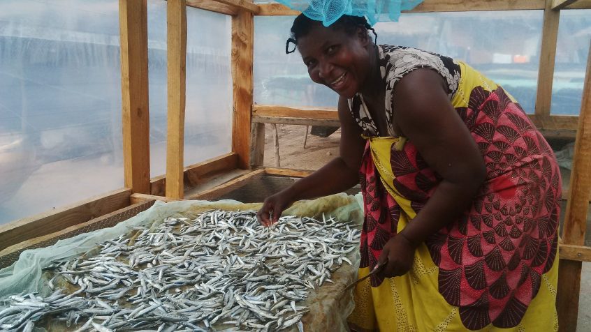Community-based solar tents help improve the speed, quality and food safety of dried small fish by women in Malawi. Photo by Olek Kaminski.