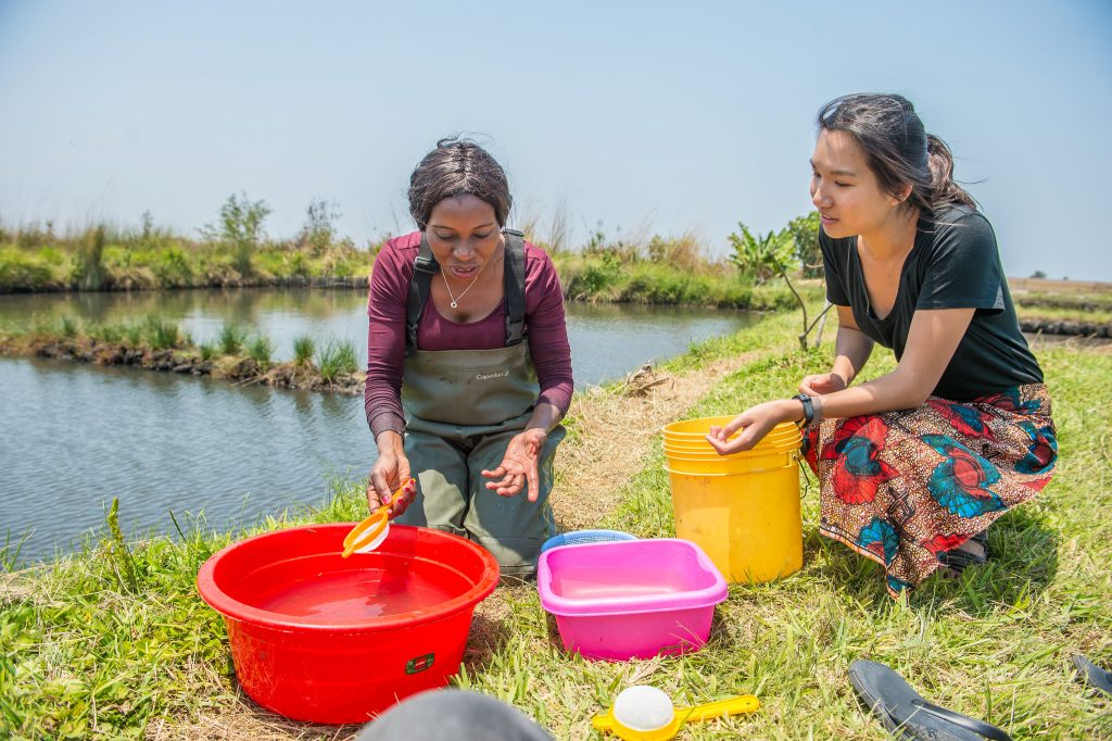 Sorting fish in Nsombo Village, Luwingu district, northern Zambia; Dr Mary Lundeba (left), WorldFish field researcher, with research assistant, Esther Lee (right)