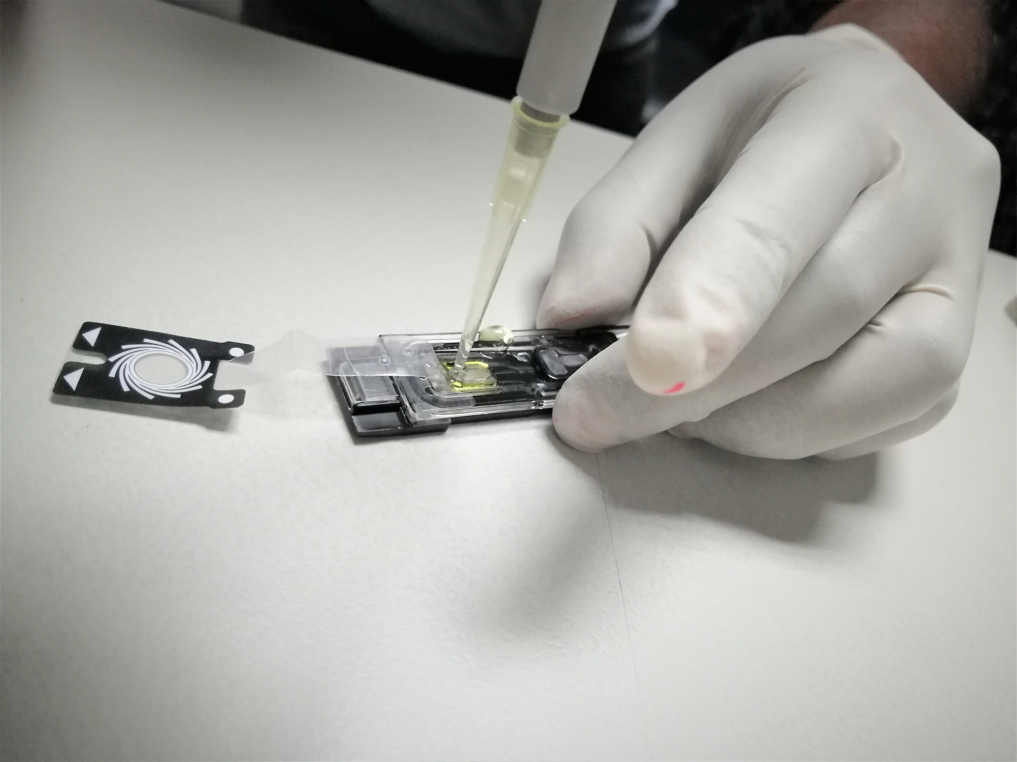 lab in a
