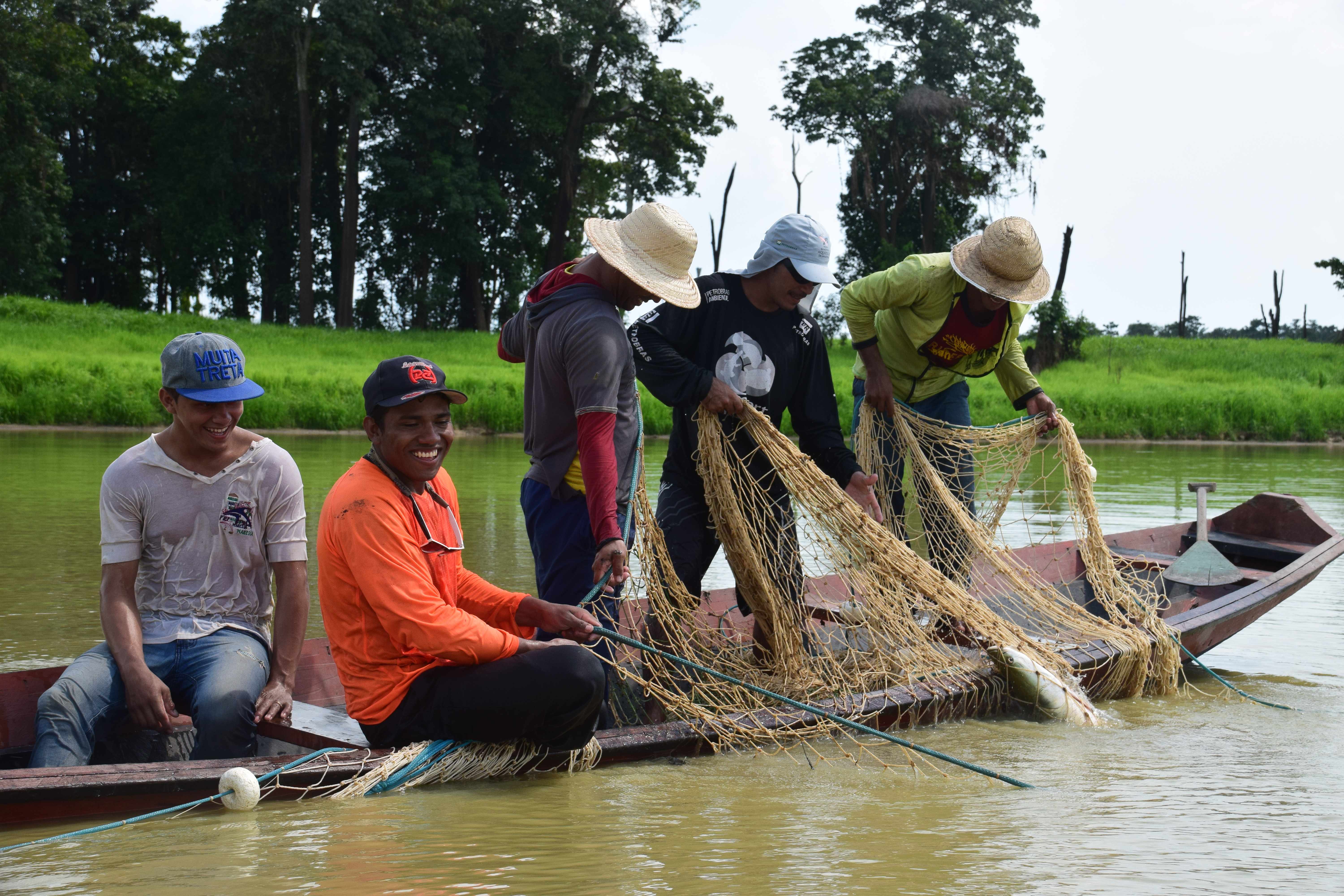 Local Brazilian fishers hauling in an arapaima (Arapaima sp.)