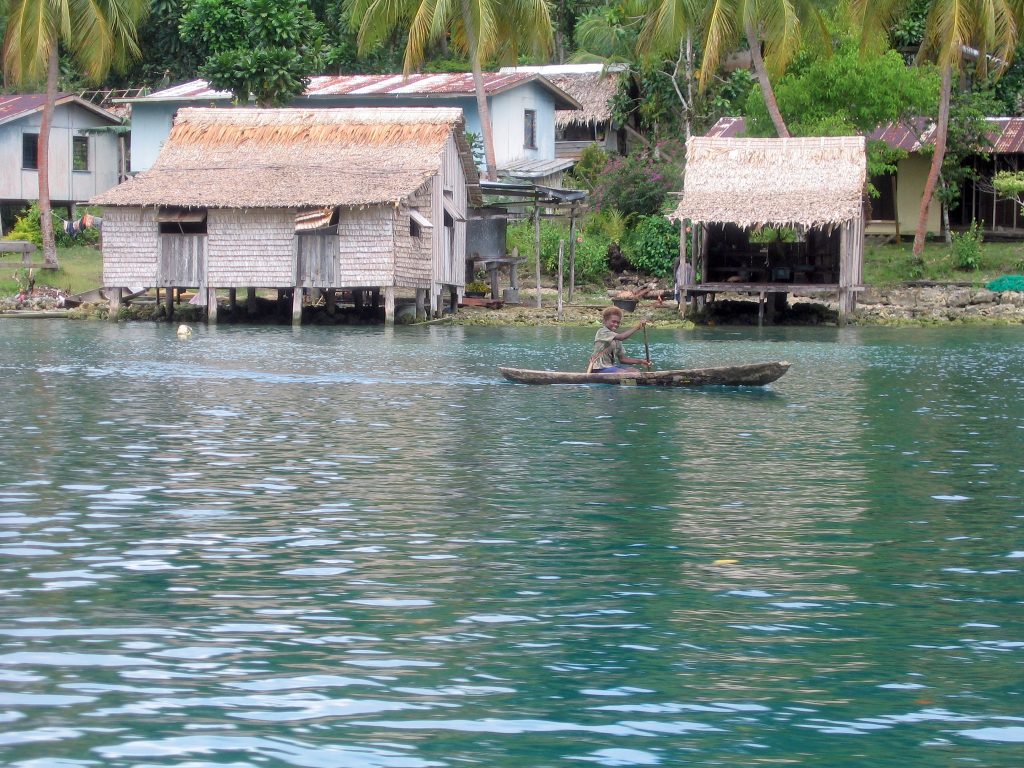 Subsistence fishing is by far the biggest provider of dietary animal protein in Pacific island countries and territories.