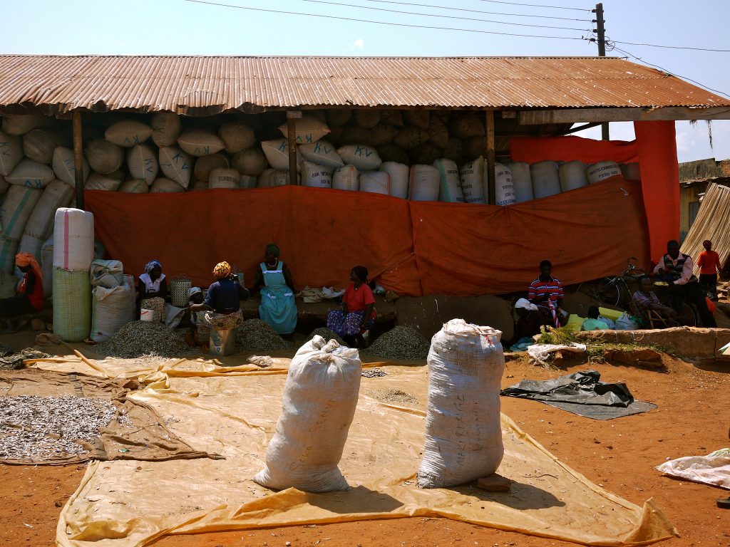 Kiyindi landing site, Lake Victoria, Uganda.