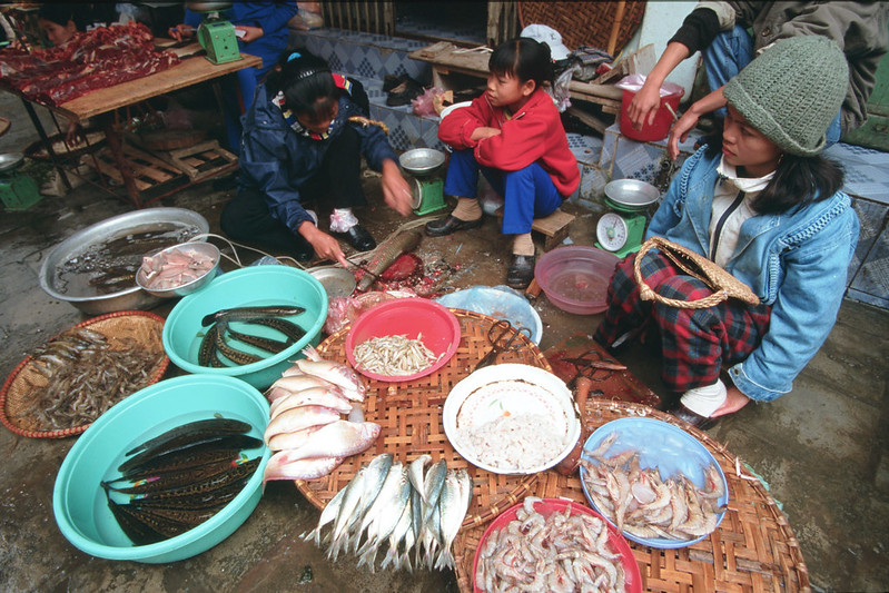 Aquatic foods are regarded as superfoods because they are a significant source of protein, micronutrients and essential fatty acids. Photo by Dominyk Lever