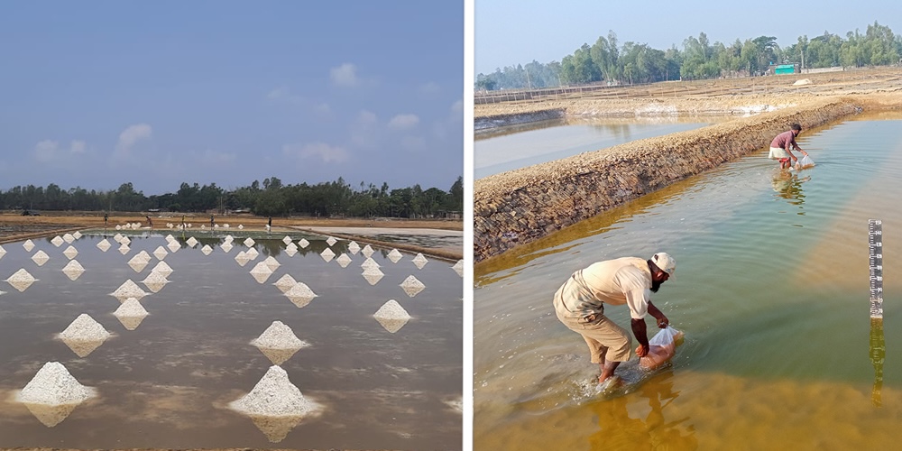 Crude salt farm