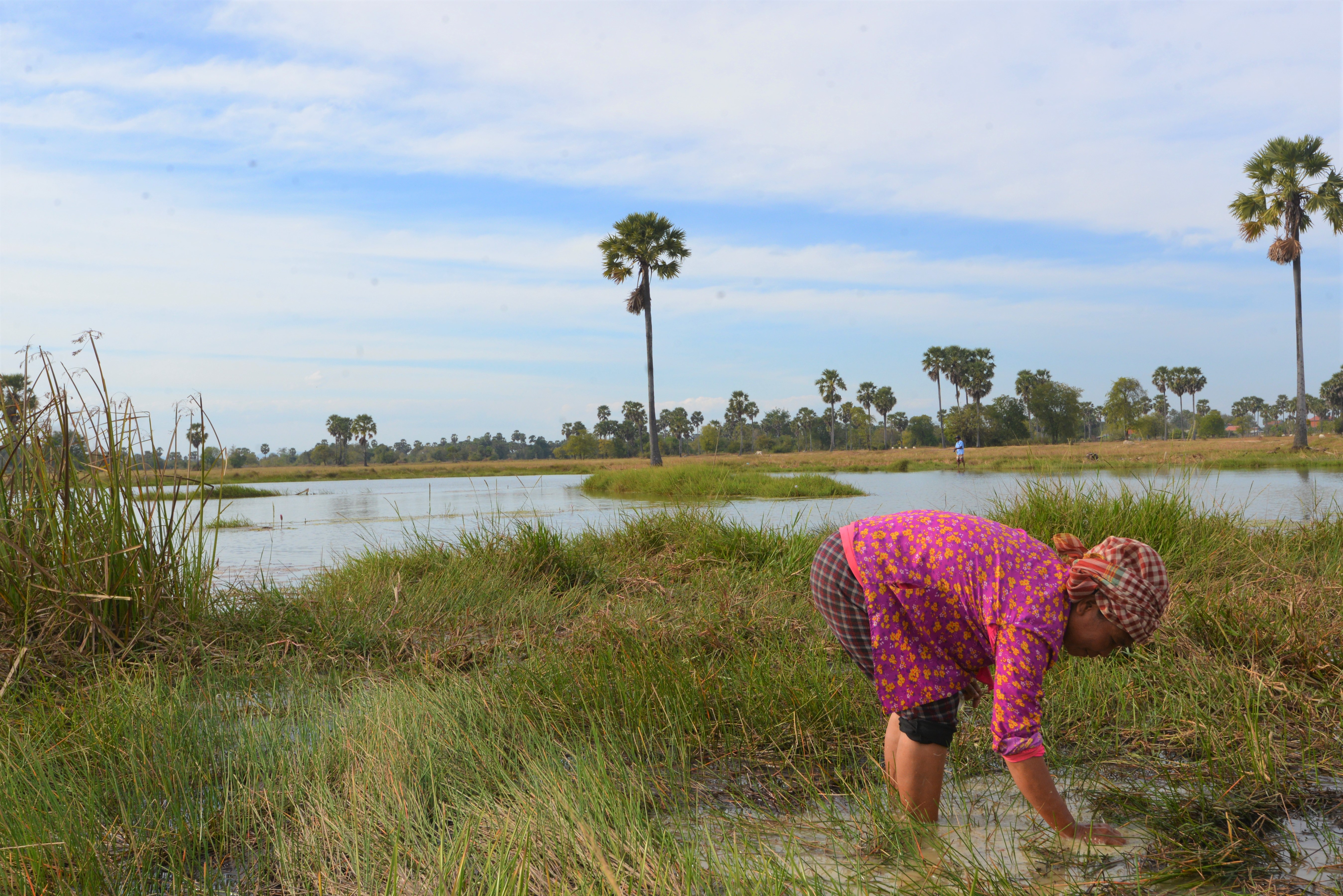 The practicality of these homestead aquaculture ponds has also been attracting women's participation at the community level.