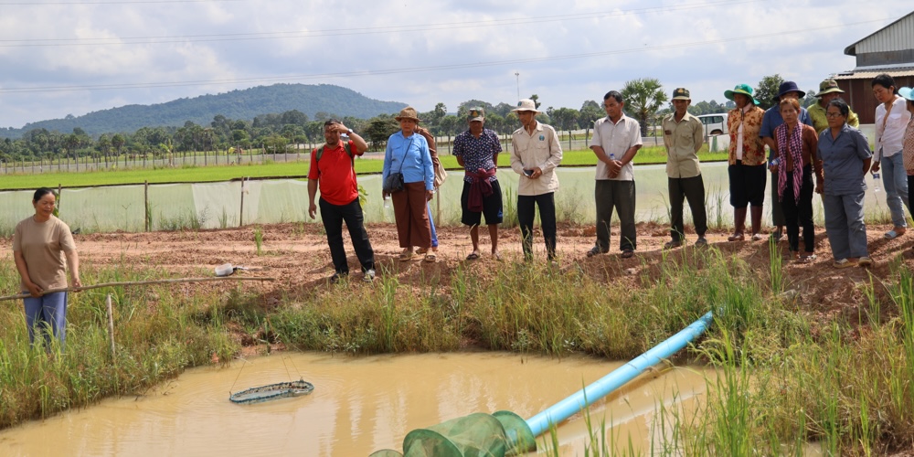 Checking Prawn Health and Growth During the Exchange Visit in Takoe. Photo:EAN Vichet