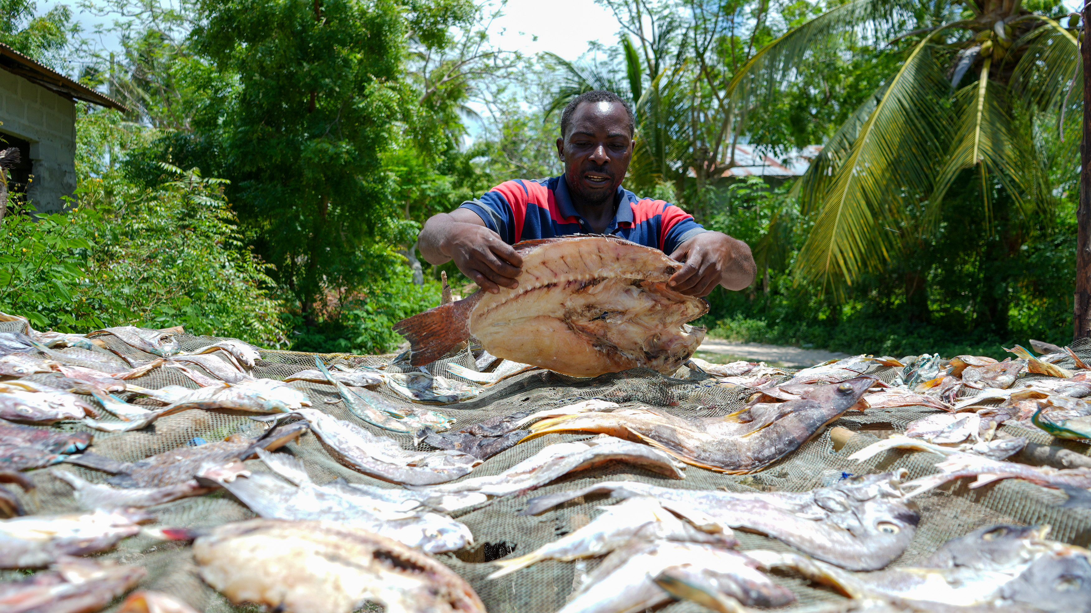 Ali Kambwili, a Fish and Octopus Trader, sundries fish