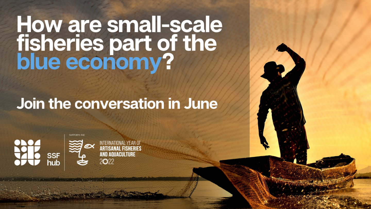 Small-Scale Fisheries as Part of the Blue Economy