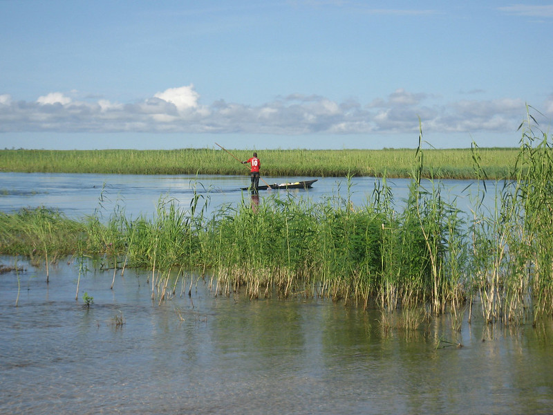 Integrating fisheries with irrigation not only alleviates flooding in an area but increases the livelihoods of the locals. Photo by Kate Longley