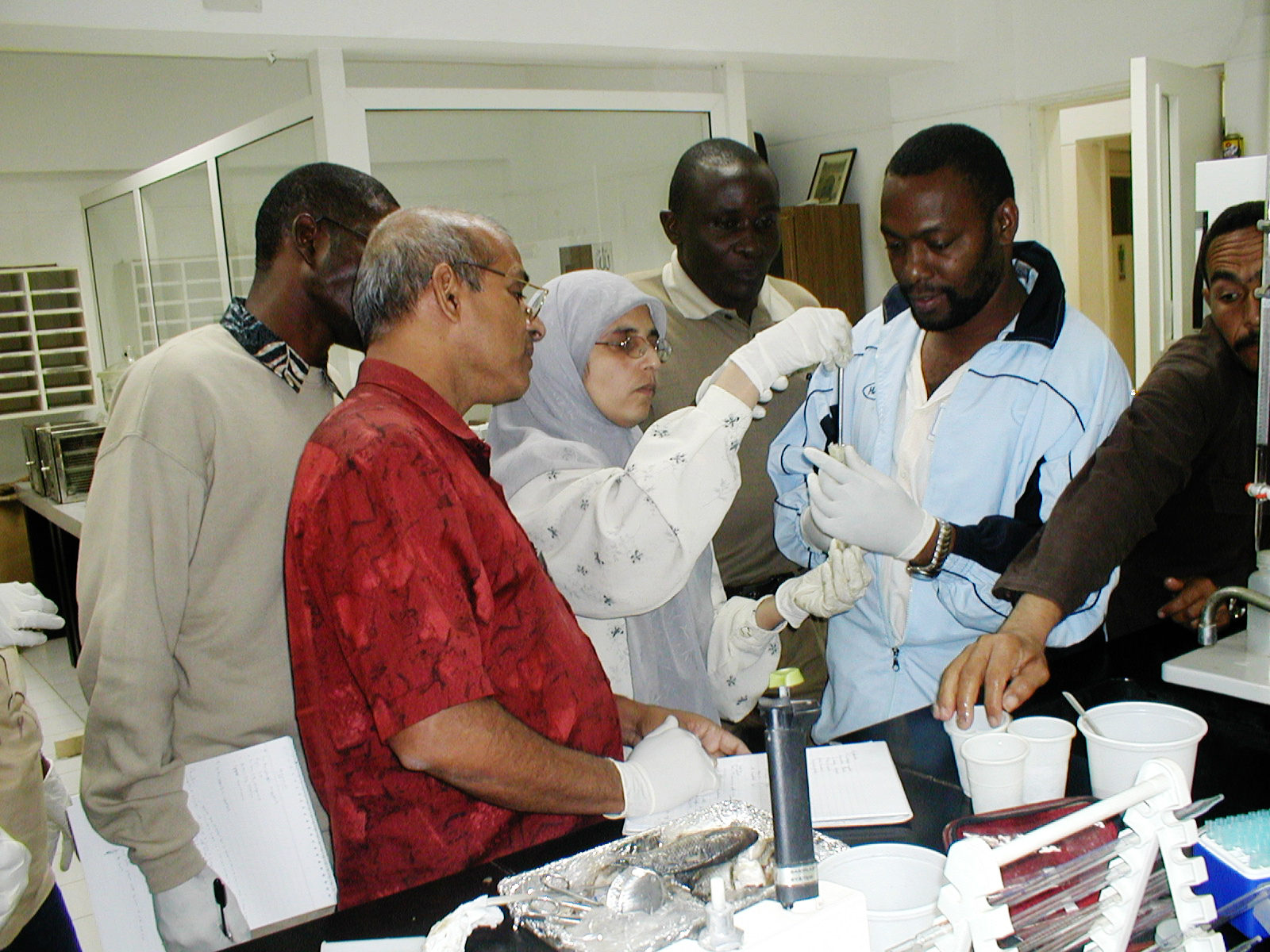 Training session on genetics techniques at WorldFish's Abbassa Research Center, Egypt. Photo by Gamal El Naggar.