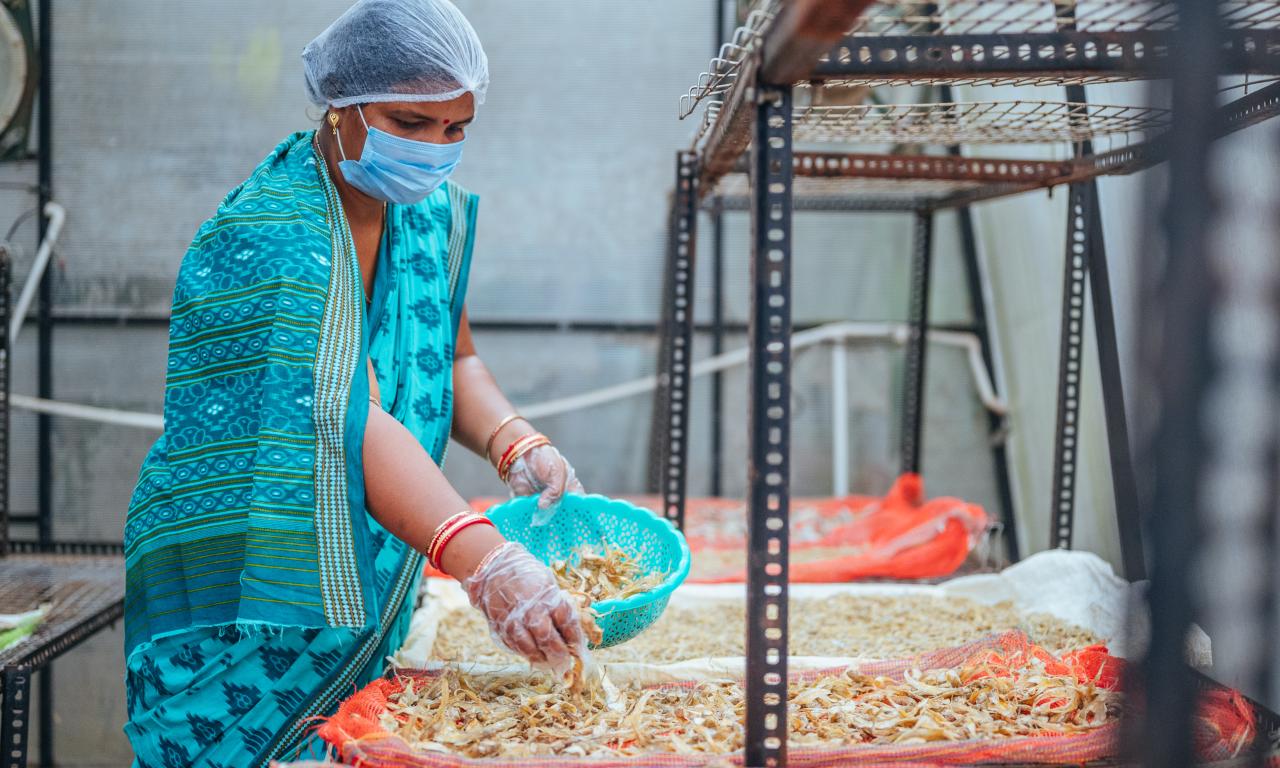 dried fish