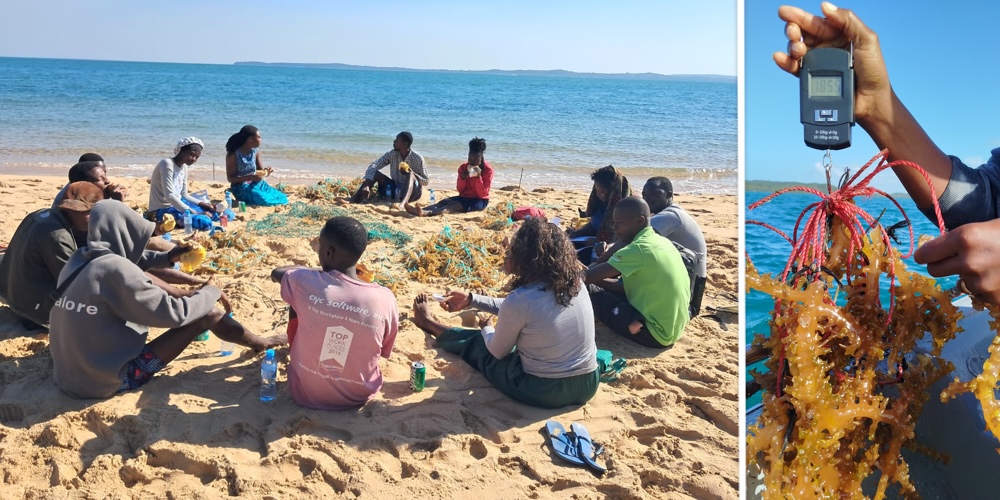 "Participatory field assessment on seaweed farming with the youth-led ‘Tany’ Cooperative on Inhaca Island, 