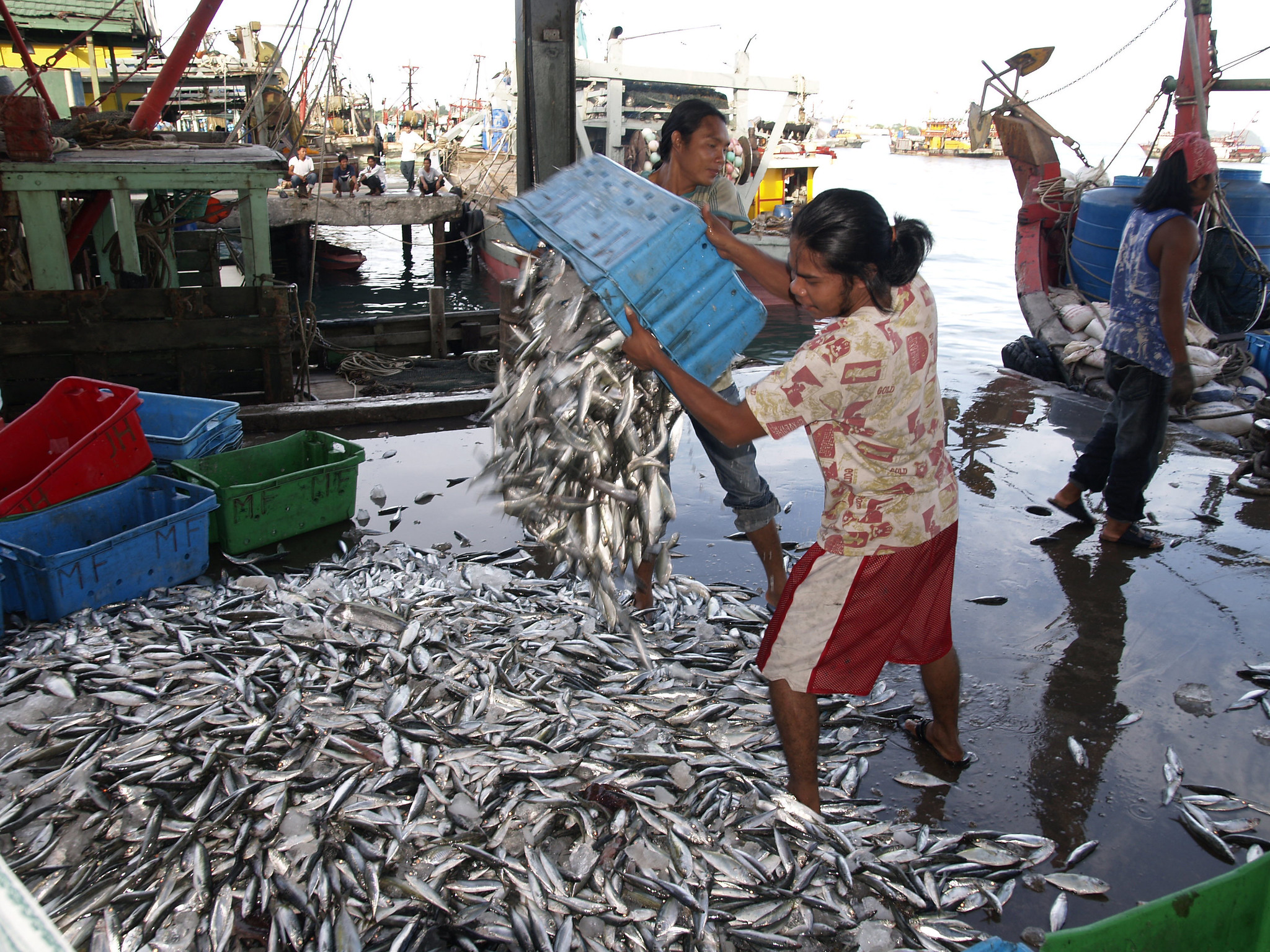 For the 2024 conference, the attention of IIFET’s membership will be focused on the growth-inequality-resilience nexus that intersects with fisheries and aquaculture economics and trade. Photo by Jamie Oliver