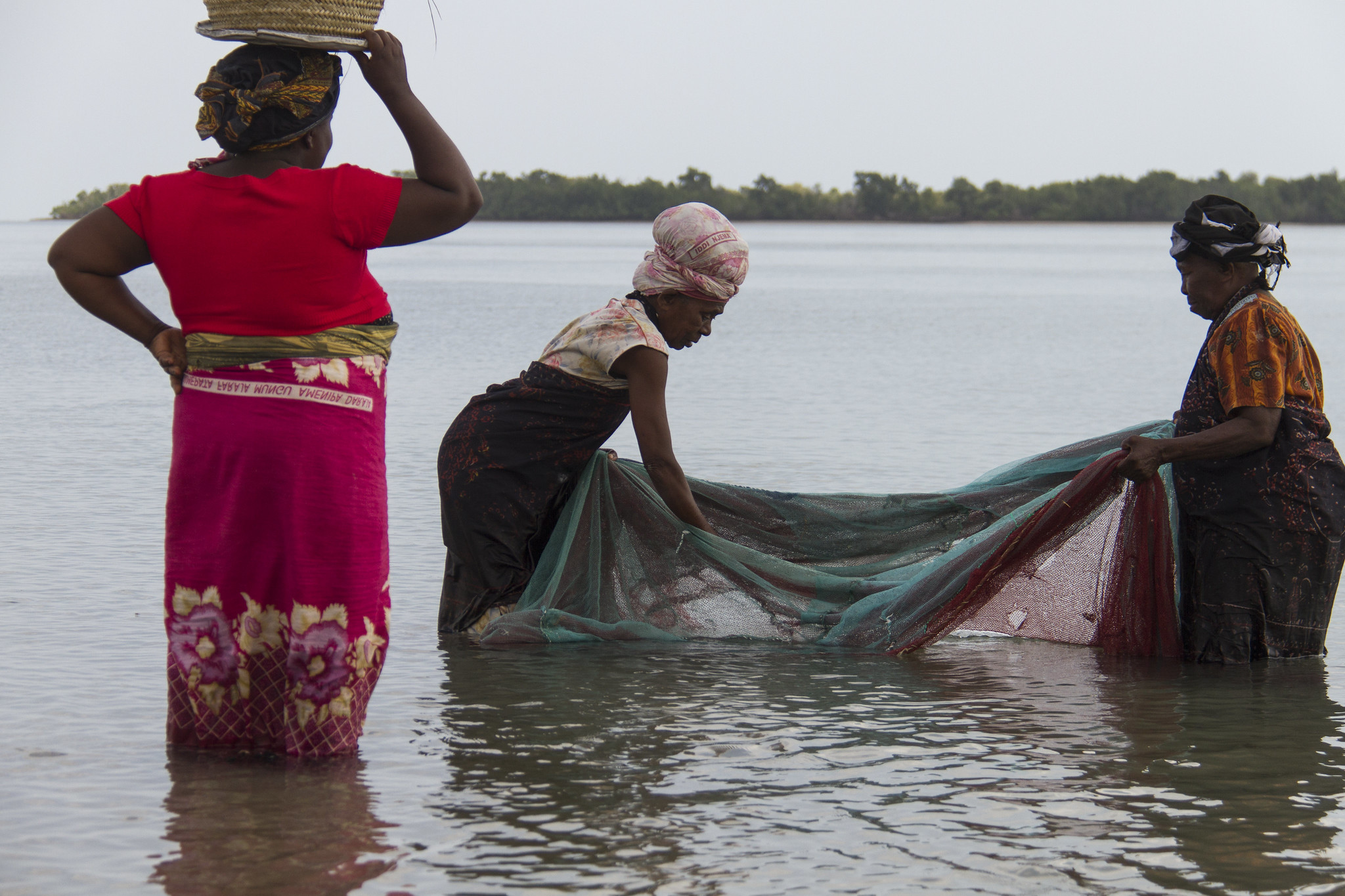 Structural and digital enablers are needed to achieve inclusive livelihoods and wealth generation