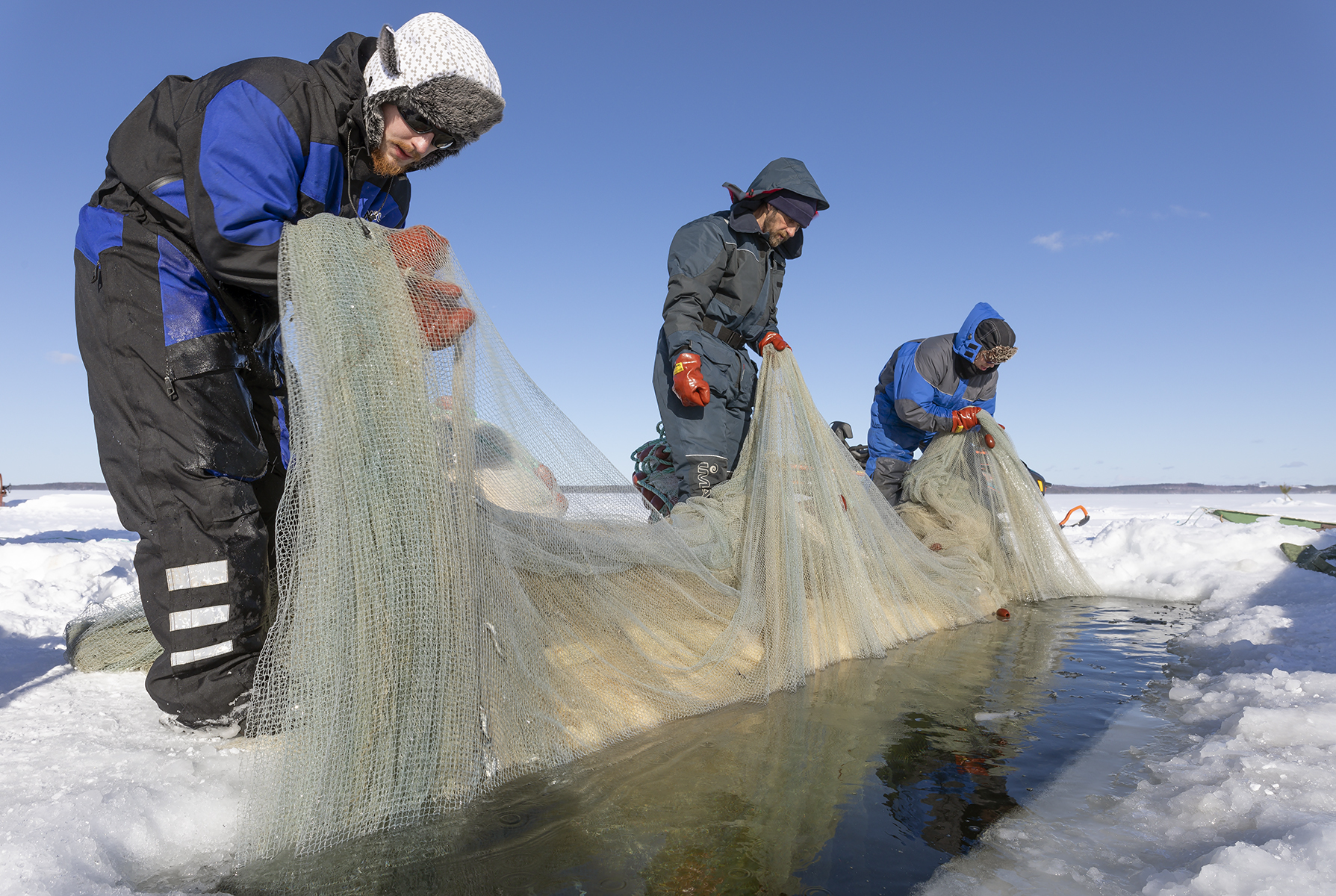 Winter seining on lake Puruvesi, Finland. Photo by Mika Honkalinna, Snowchange.