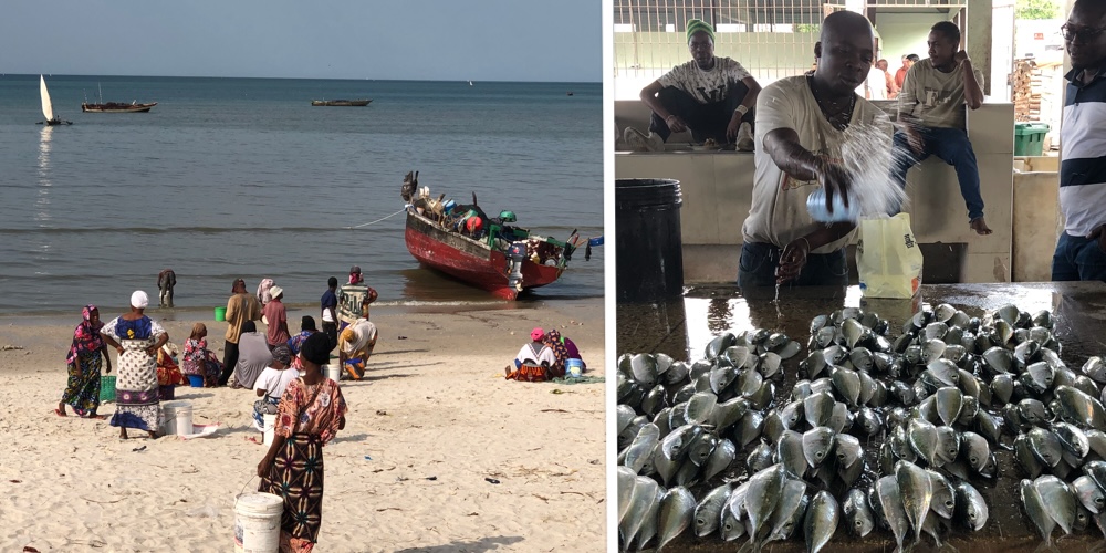 Tanzania fishing 