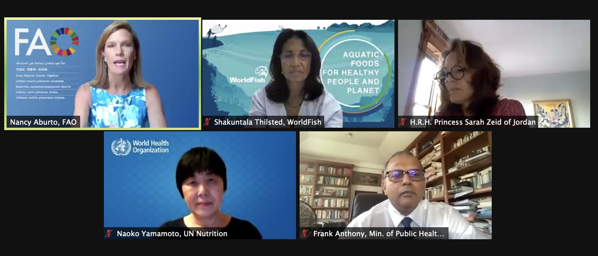 Shakuntala Thilsted with panel members of UN Nutrition’s Affiliated Session on food systems transformation for healthy, sustainable diets at the UN Food Systems Pre-Summit. Photo by WorldFish.