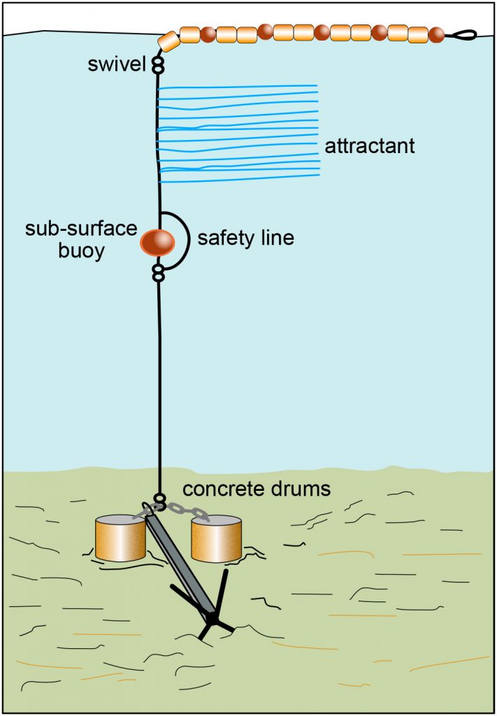 FAD DIAGRAM
