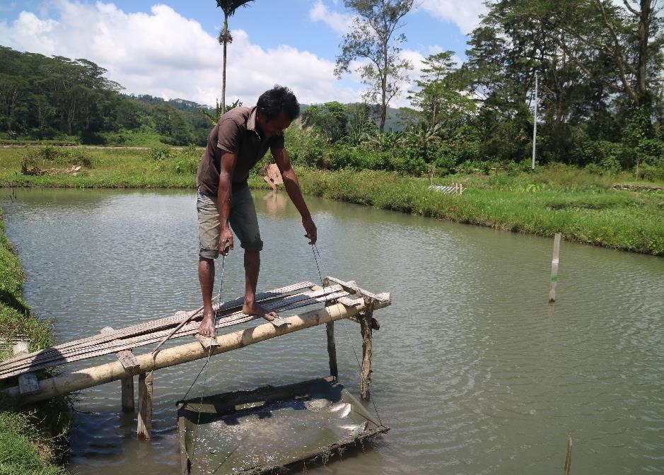 A man at his pond. Photo by WorldFish.