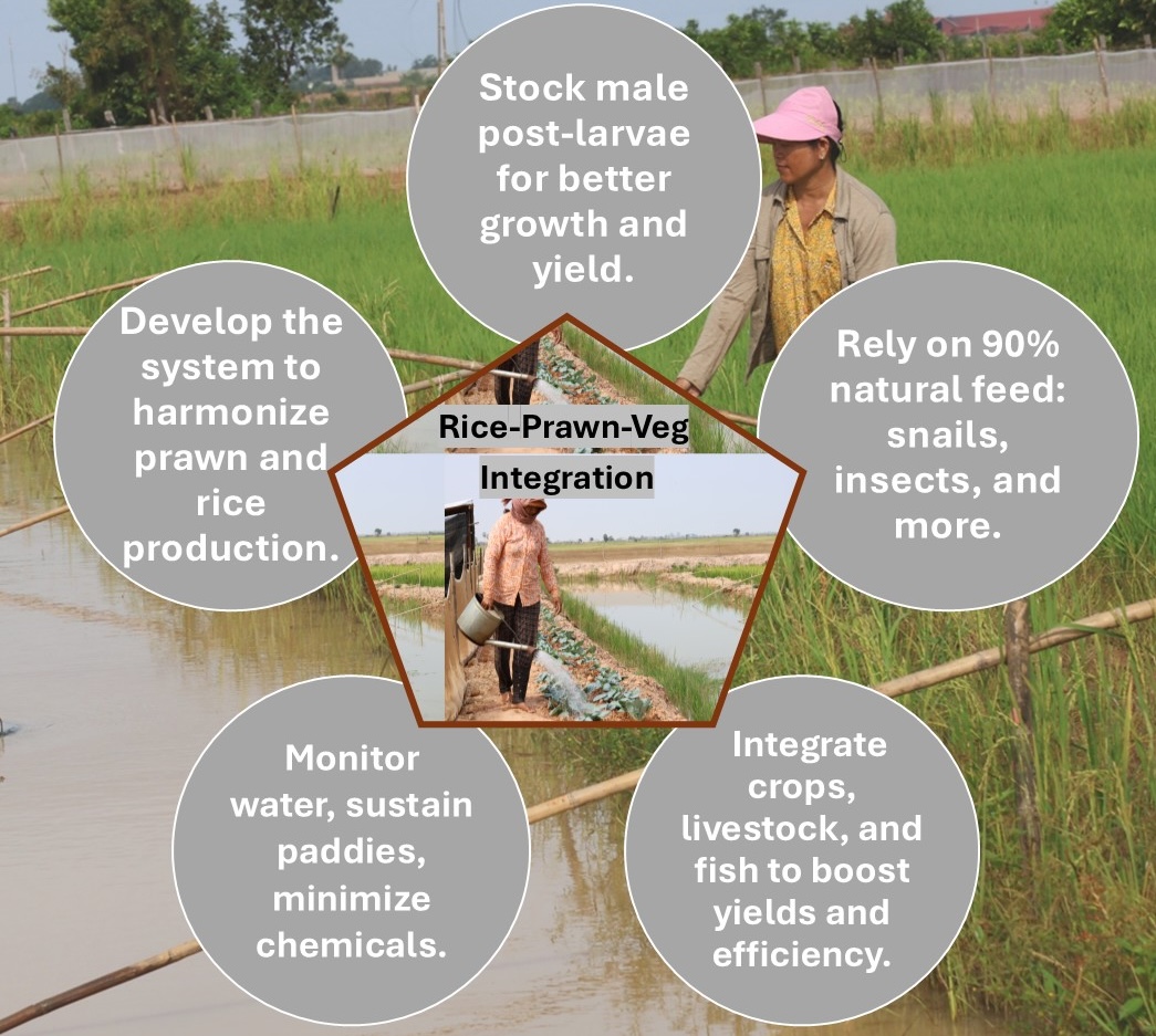 integrated system
