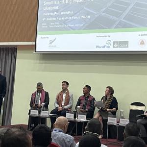 Dr. Jharendu Pant (WorldFish) delivers his presentation “Small Island, Big Impact: The Timor-Leste Aquaculture Blueprint,” during the opening of the 4th National Aquaculture Forum (NAF4) in Dili, Timor-Leste. Seated behind him on the dais are (third from left) H.E. Domingos da Conceição dos Santos, Secretary of State for Fisheries (MALFF), and (fourth from left) H.E. Helen Tunnah, Ambassador of New Zealand to Timor-Leste, alongside other distinguished guests and representatives. Photo: Shwu Jiau Teoh/WorldF